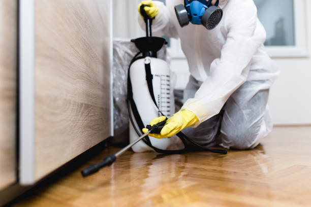 Best Termite Control Services  in Milford City, CT