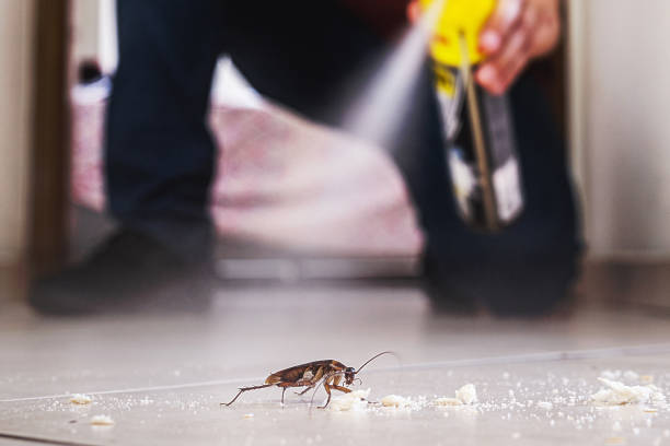 Best Pest Inspection Near Me  in Milford City, CT