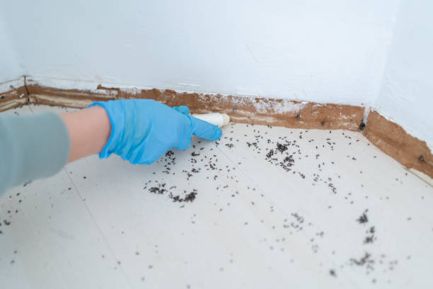 Wildlife Control Services in Milford City, CT