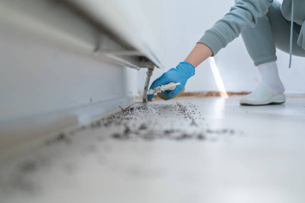 Pest Prevention Services in Milford City, CT