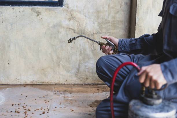 Best Best Pest Control Companies  in Milford City, CT